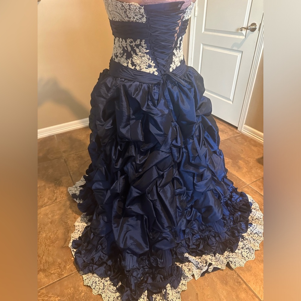 Size 14 Quinceañera dress.Shawl cover up,detachable sleeves,back,and straps. - Picture 4 of 8